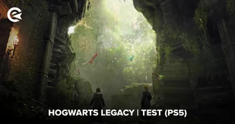Hogwarts Legacy Test PS5