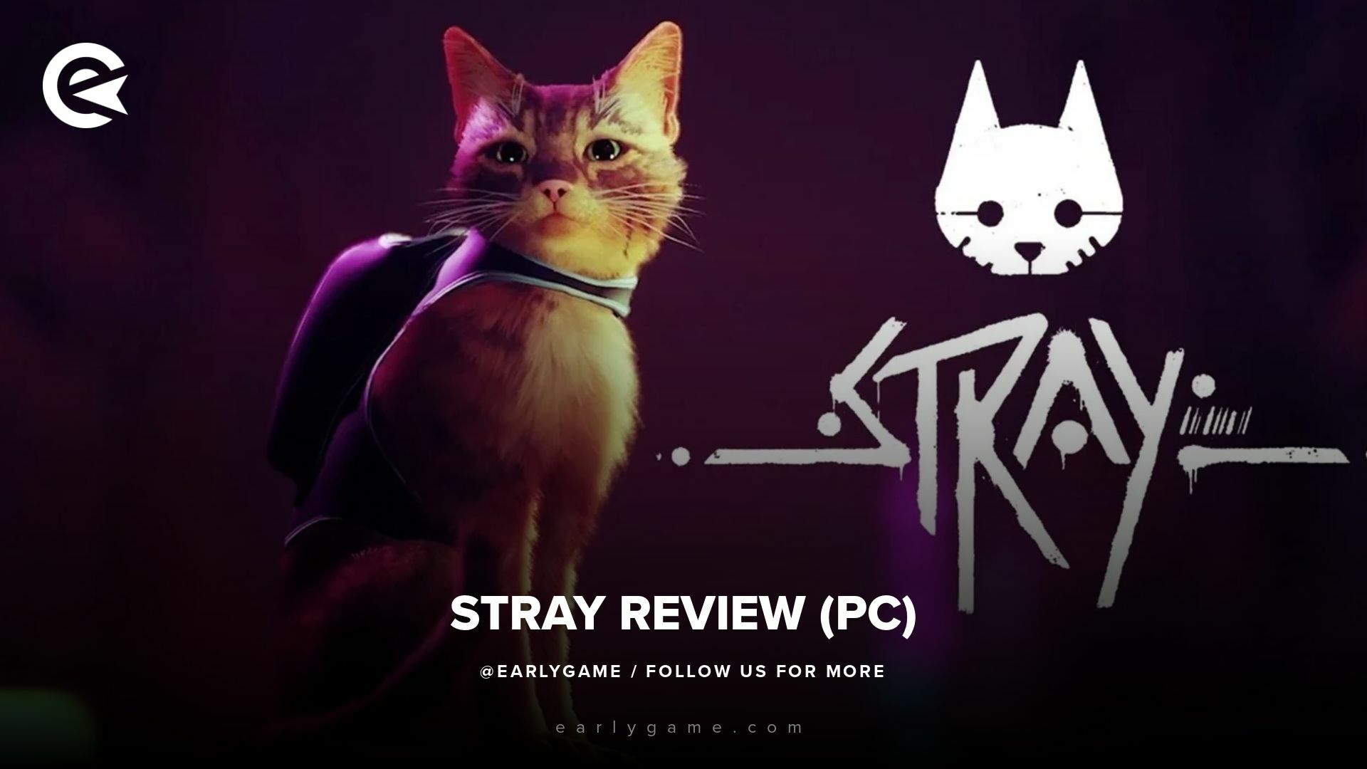 Stray Review H