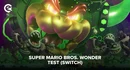 Super Mario Bros Wonder Test Switch